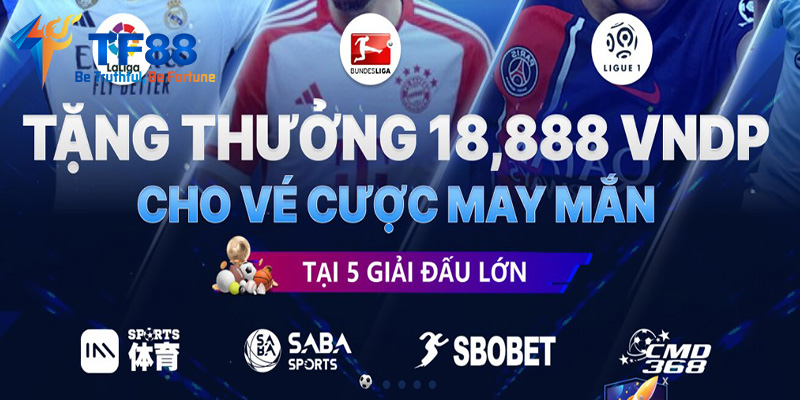 Game bài đổi thưởng TF88 - Thiên đường cá cược hàng đầu cho dân chuyên